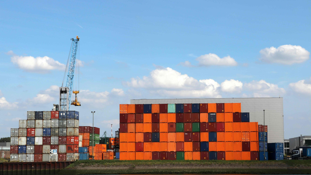 Mercado dá sinais de acomodação e volume de exportações de madeira sobe em outubro