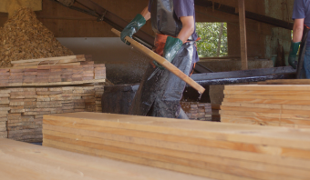 Visita às Fábricas: mostrando ao mundo a força da sua madeireira.