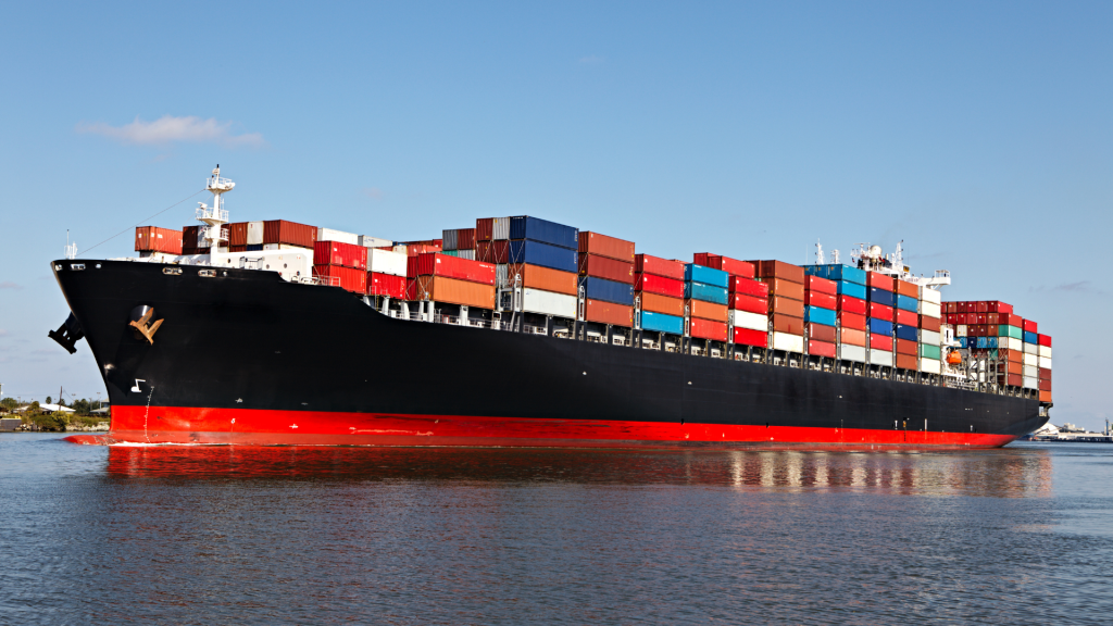 Do campo ao porto: o passo a passo de uma exportação florestal