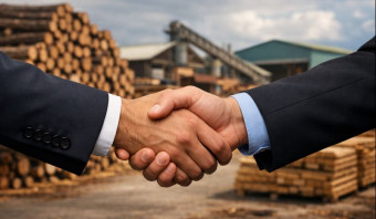Como compradores internacionais avaliam fornecedores de madeira