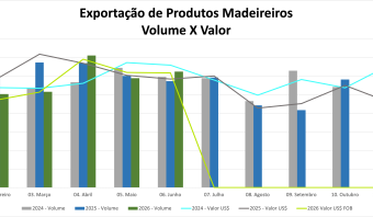 Exportações de madeira caem 8% no primeiro semestre