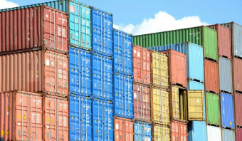 Exportações de madeira em janeiro caem na comparação com dezembro de 2024