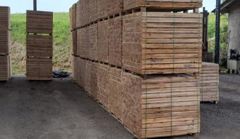 Madeira Serrada de Eucalipto para Pallets (AD)