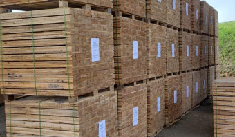Madeira Serrada de Eucalipto para Pallets (AD)