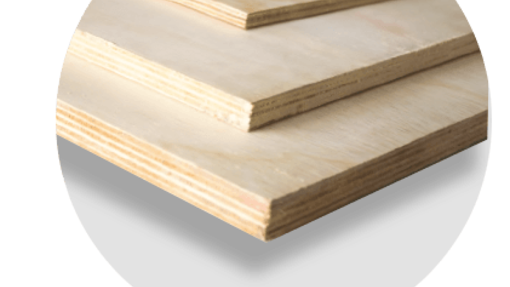 Compensado de pinus e Eucalipto