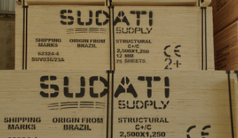 Pine Plywood