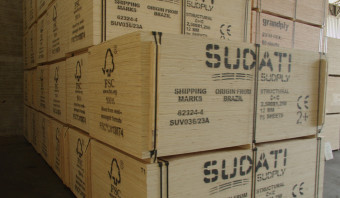 Pine Plywood - C+/ C - CE4