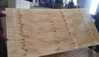 STOCK -Pine Plywood - SHOP GRADE