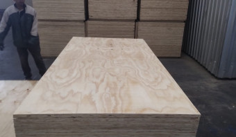STOCK -Pine Plywood - SHOP GRADE