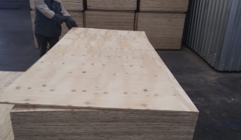 STOCK -Pine Plywood - SHOP GRADE