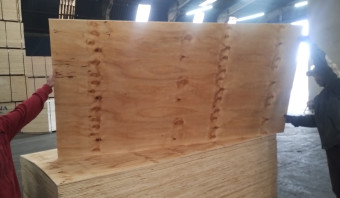 STOCK -Pine Plywood - SHOP GRADE