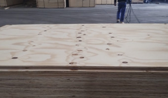 STOCK -Pine Plywood - SHOP GRADE