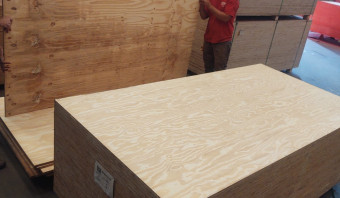 STOCK - Pine Plywood B/C