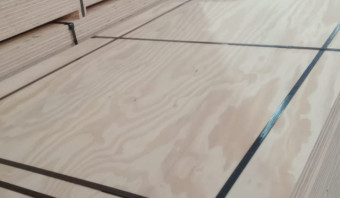 Pine Plywood B/C