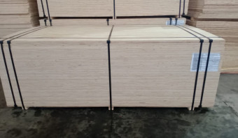 Pine Plywood B/C