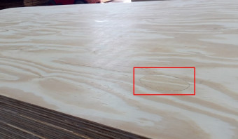 Pine Plywood B/C