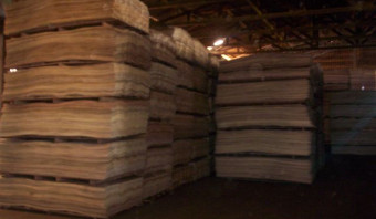 Pine Rotary Cut Veneer - C Grade (FSC Certified)