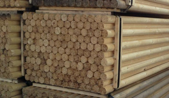 Eucalyptus Peeler Cores