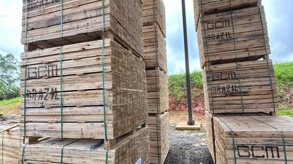 Madeira Serrada de Eucalipto