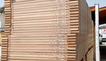 Tropical Hardwood Doors – Durable and Elegant for Residential or Commercial Use